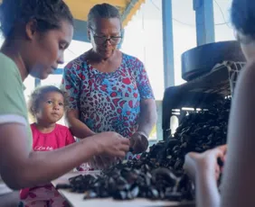 Imagem ilustrativa da imagem Cartilha reforça direitos das marisqueiras e paneleiras capixabas
