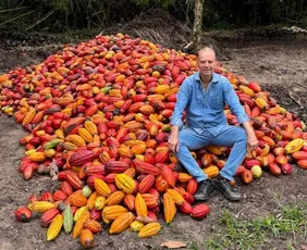 Imagem ilustrativa da imagem Com mercado em alta, preço do cacau anima os produtores do ES