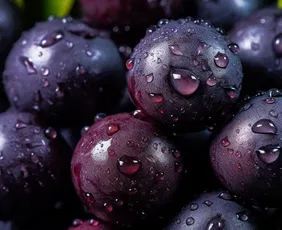 Imagem ilustrativa da imagem Conheça 15 ingredientes essenciais da cozinha paraense