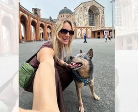 Imagem ilustrativa da imagem Engenheira morre em acidente em rodovia no Sul do ES