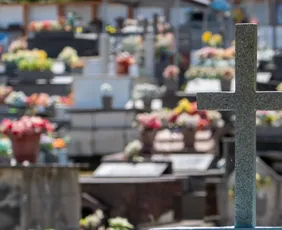 Imagem ilustrativa da imagem Finados: Distribuição de flores e até violino nos cemitérios da Grande Vitória