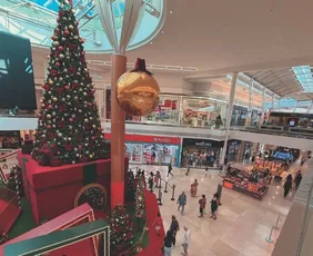 Imagem ilustrativa da imagem Veja o funcionamento de lojas e supermercados para compras de última hora no ES