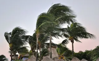 Imagem ilustrativa da imagem Inmet renova alerta de vendaval com ventos de até 60km/h para o ES