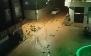 Imagem ilustrativa da imagem Governo do ES vai auxiliar município de Muniz Freire contra impactos após chuvas