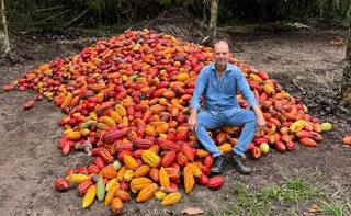 Imagem ilustrativa da imagem Com mercado em alta, preço do cacau anima os produtores do ES