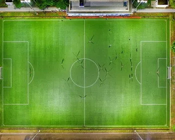 Imagem ilustrativa da imagem Veja as chegadas e saídas nos times da Série A