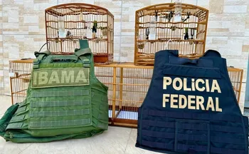 Imagem ilustrativa da imagem Aves furtadas de viatura do Ibama são recuperadas no Noroeste do ES