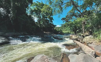 Imagem ilustrativa da imagem Circuito com cachoeiras e imersão nos sabores locais em Iconha