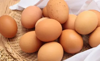 Imagem ilustrativa da imagem Dia Mundial do Ovo: abusar do alimento para bater meta de proteína pode fazer mal?