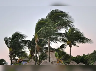 Imagem ilustrativa da imagem 14 municípios capixabas recebem alerta de ventos fortes para este domingo