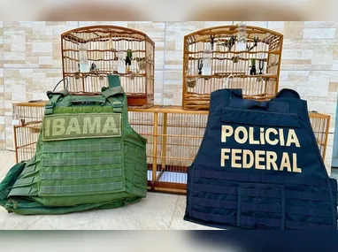 A mercadoria recuperada foi devolvida ao caminhoneiro e o suspeito foi detido em flagrante