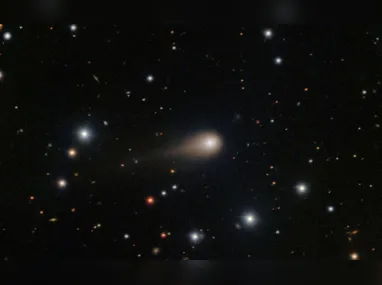 Veículo das vítimas colidiu de frente com uma carreta na BR-101