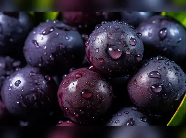 Alice Spadeto, Stanislaw Duda Deps Almeida e Tedesko Duda Deps Almeida comemoram medalhas da Piwo