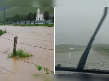 A raiz da árvore levantou a traseira do veículo