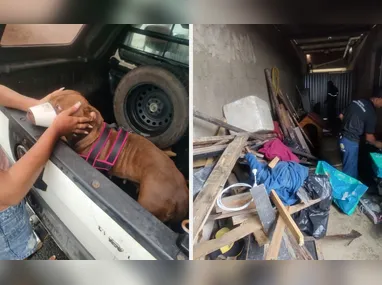 Furto de energia é flagrado em áreas rurais de Vila Valério e Pinheiros