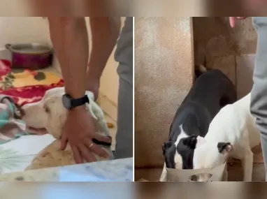 Populares tentaram socorrer a vítima na praça após o ataque