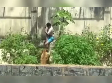 Ao menos 80 bombeiros de 15 unidades operacionais estão no local