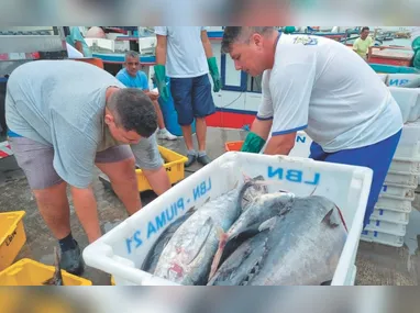 Indústria do café ainda negocia a isenção das tarifas dos EUA para o produto