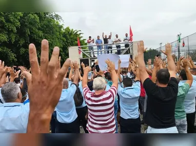 Trecho da Avenida Hugo Musso foi interditado para a retirada da árvore