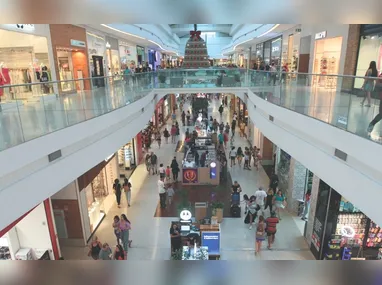 Dia de finados: preço das flores tem aumento neste ano em Vitória