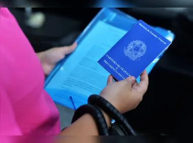 Imagem ilustrativa da imagem Pesquisa revela que brasileiro prefere emprego com carteira assinada