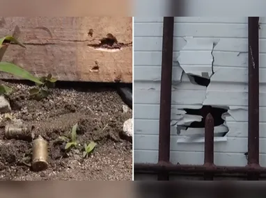 Animal estava vivendo acorrentado e sem acesso à água e comida