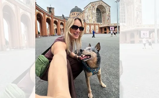 Imagem ilustrativa da imagem Engenheira morre em acidente em rodovia no Sul do ES