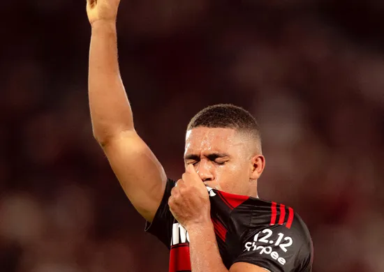 Imagem ilustrativa da imagem Flamengo vence o Ceará e conquista o 9° Campeonato Brasileiro