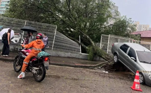 Imagem ilustrativa da imagem Árvore cai e levanta carro após fortes chuvas em Vitória; veja vídeo