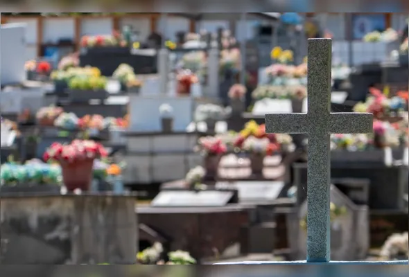 Imagem ilustrativa da imagem Finados: Distribuição de flores e até violino nos cemitérios da Grande Vitória