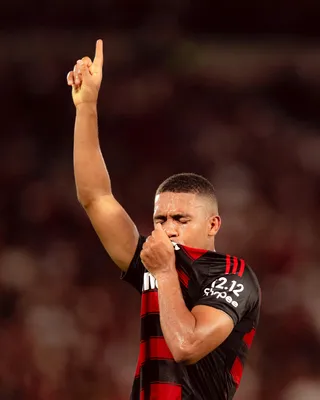 Imagem ilustrativa da imagem Flamengo vence o Ceará e conquista o 9° Campeonato Brasileiro