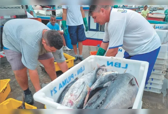 Pescadores do Espírito Santo: associação vê impacto em pequenas e médias empresas e populações ribeirinhas