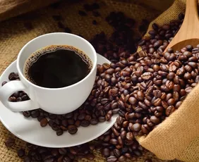 Imagem ilustrativa da imagem Após alta de 80%, preço do café acumula maior queda no Plano Real