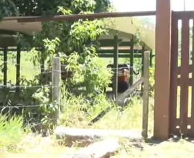 Imagem ilustrativa da imagem Corpo é encontrado em sítio de empresário envolvido no Caso Araceli