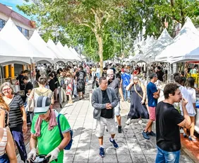 Imagem ilustrativa da imagem Feira de Antiguidades acontece neste sábado na Rua da Lama