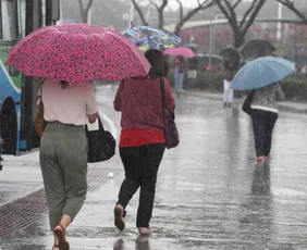 Imagem ilustrativa da imagem Chuva volta nesta terça no ES; veja como fica o tempo durante a semana