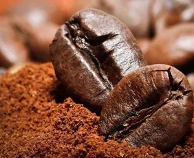 Imagem ilustrativa da imagem Indústrias em novo polo de café solúvel no Espírito Santo