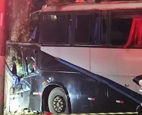 Imagem ilustrativa da imagem Motorista morre após ônibus colidir com árvore na BR-262 em Marechal Floriano
