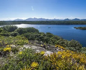 Imagem ilustrativa da imagem Parques Estaduais do ES são opção para curtir o Carnaval longe da agitação