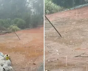 Imagem ilustrativa da imagem Temporal com granizo derruba árvores e bloqueia vias em cidade do ES