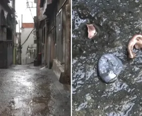 Imagem ilustrativa da imagem Três homens são indiciados por ataque a tiros que feriu criança de 3 anos no ES