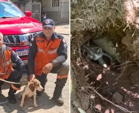 Imagem ilustrativa da imagem VÍDEO | Cadela fica presa em buraco e é resgatada pelos Bombeiros no ES