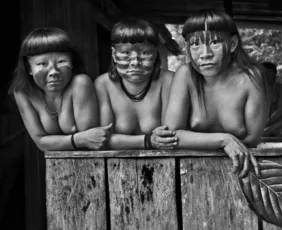 Imagem ilustrativa da imagem Veja como conseguir ingressos para a exposição de Sebastião Salgado no ES