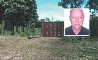 Imagem ilustrativa da imagem Cão farejador encontra pistas sobre a cabeça de Dante Michelini