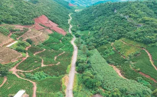 Imagem ilustrativa da imagem Pavimentação de rodovia fortalece agricultura e muda realidade em Itarana