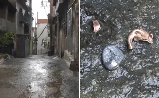 Imagem ilustrativa da imagem Três homens são indiciados por ataque a tiros que feriu criança de 3 anos no ES