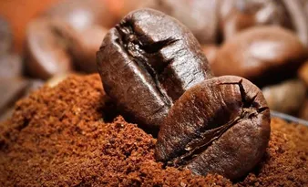 Imagem ilustrativa da imagem Indústrias em novo polo de café solúvel no Espírito Santo