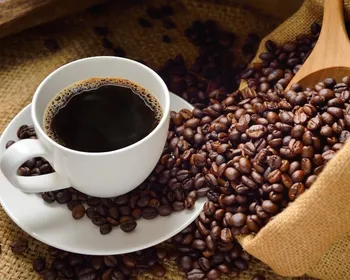 Imagem ilustrativa da imagem Após alta de 80%, preço do café acumula maior queda no Plano Real