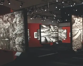 Imagem ilustrativa da imagem 'Amazônia', mostra de Sebastião Salgado, ficará em exposição por três meses no ES