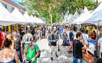 Imagem ilustrativa da imagem Feira de Antiguidades acontece neste sábado na Rua da Lama